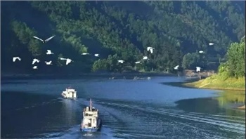 益陽(yáng)安化?天下茶道、云臺(tái)山、茶香花海2日游