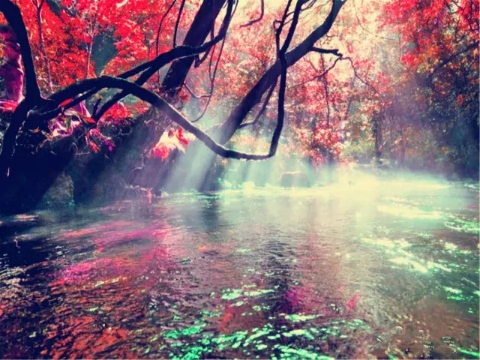 貴州-黃果樹瀑布、荔波大小七孔、西江千戶苗寨5日游